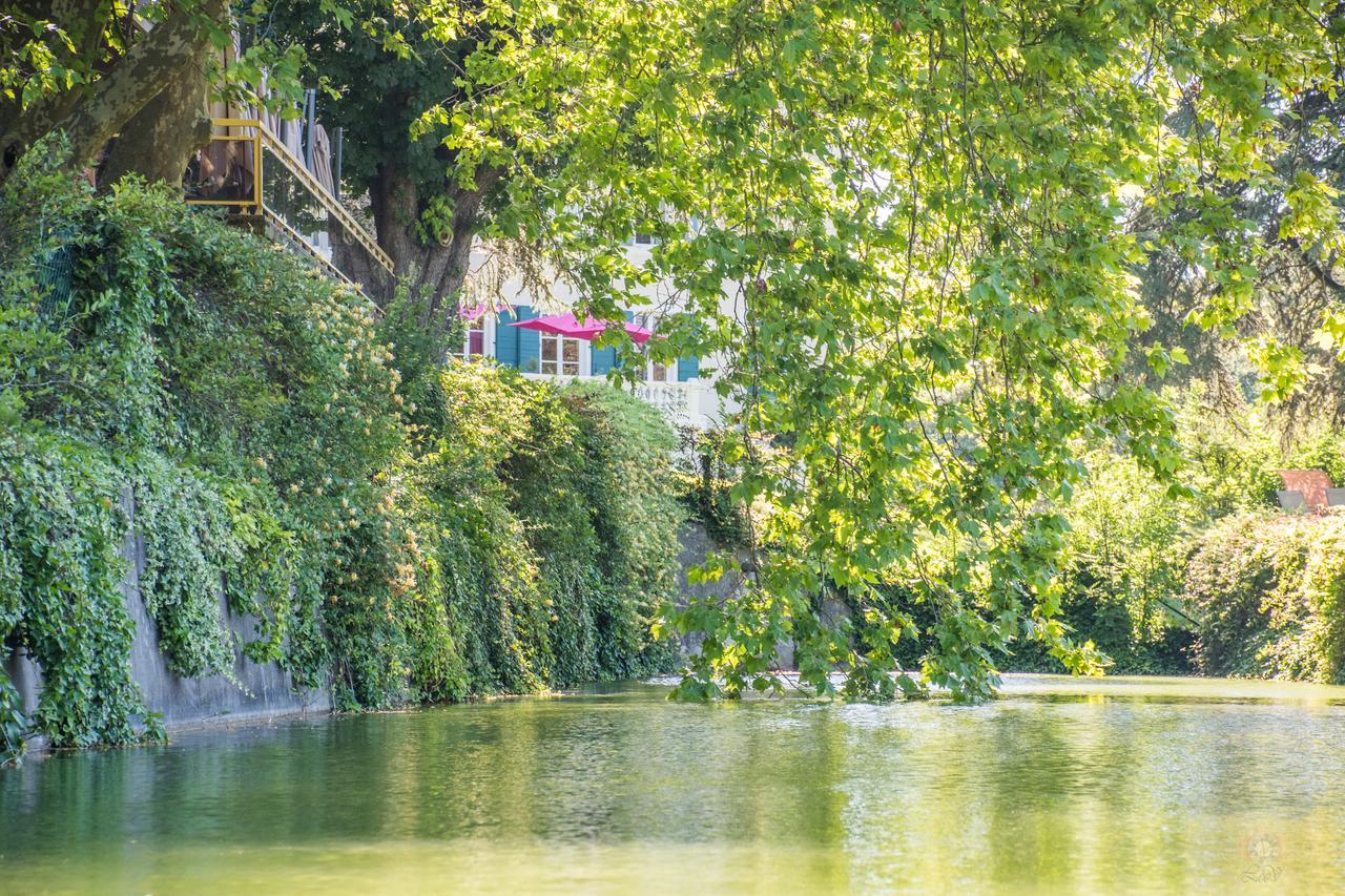 Hotel Le Domaine De La Colombiere Moissieu-sur-Dolon Exterior foto